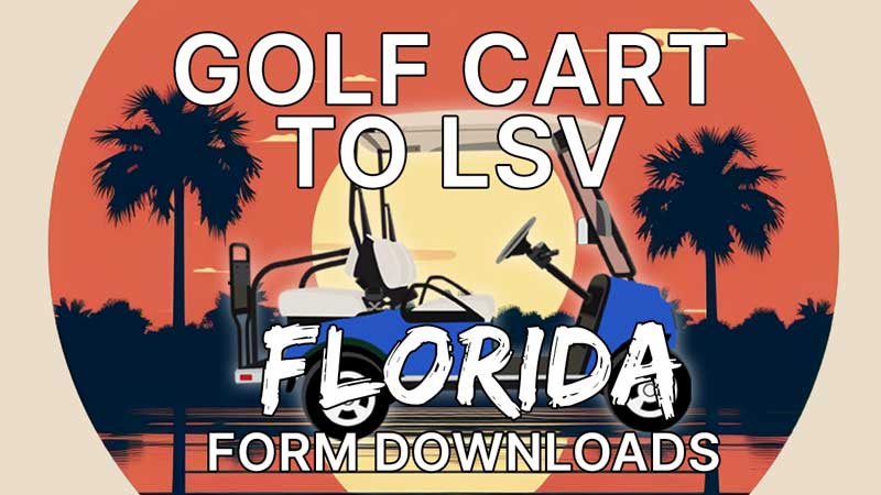 Florida LSV Forms – Download & Walkthrough Only